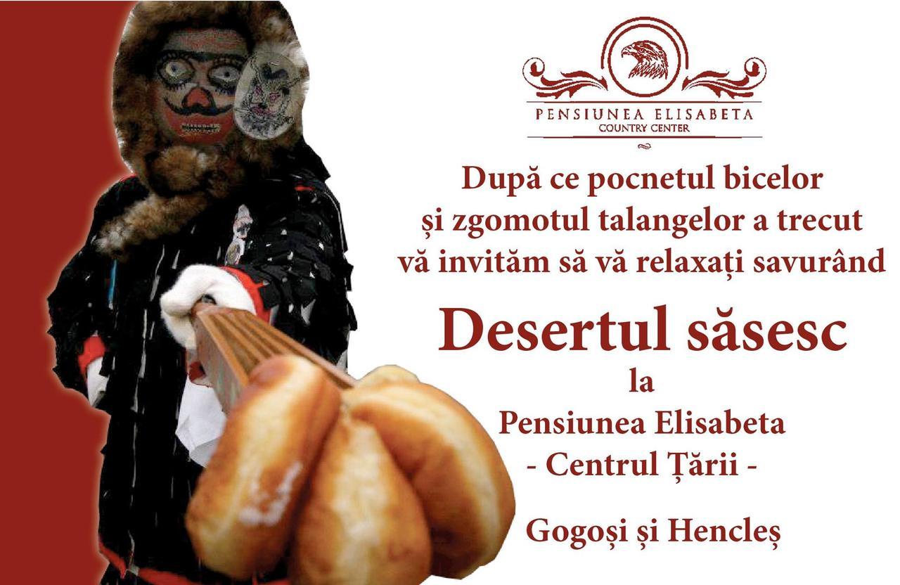 Merghindeal Pensiunea Elisabeta المظهر الخارجي الصورة